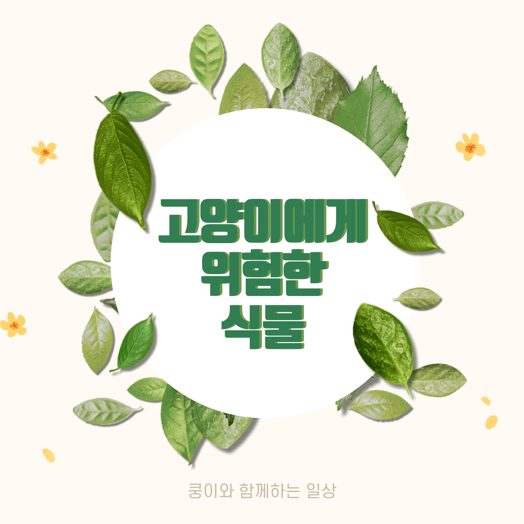 고양이에게 위험한 식물