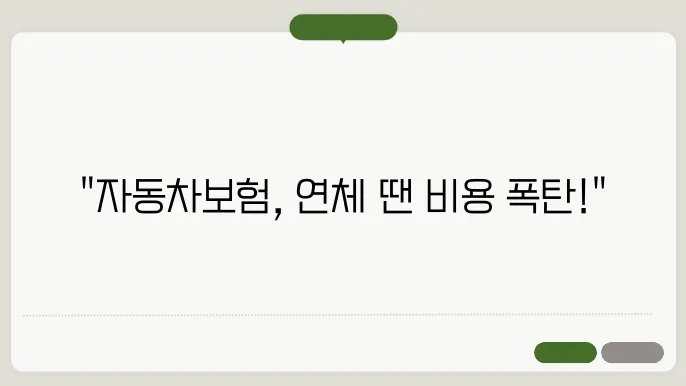 자동차보험 연체 과태료