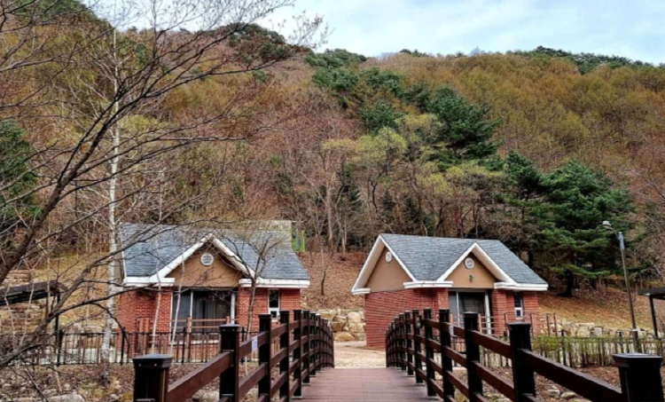 광치자연휴양림