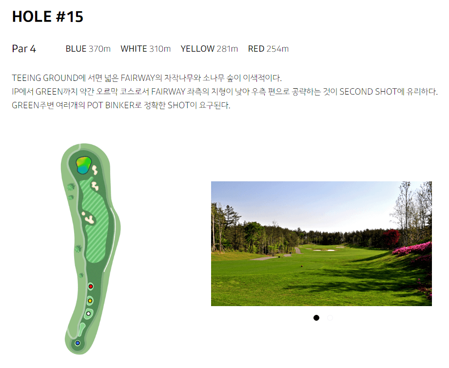 세라지오 골프클럽 코스공략도 15