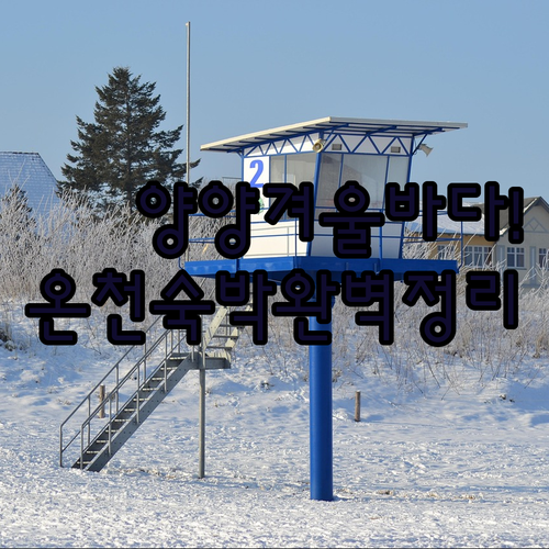 양양 동산리 해변 겨울 바다 산책과 ..