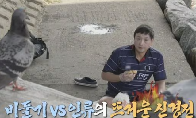 구성환 vs 비둘기