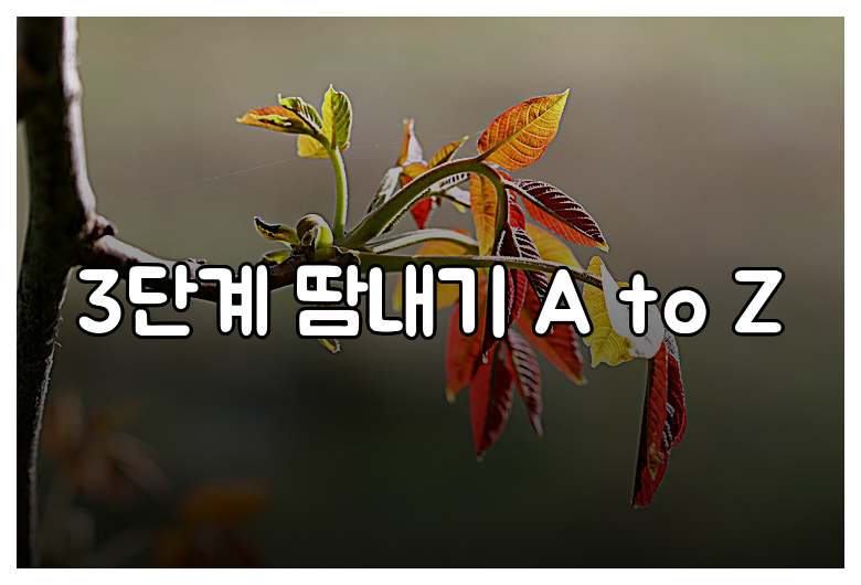 3단계 땀내기 A to Z