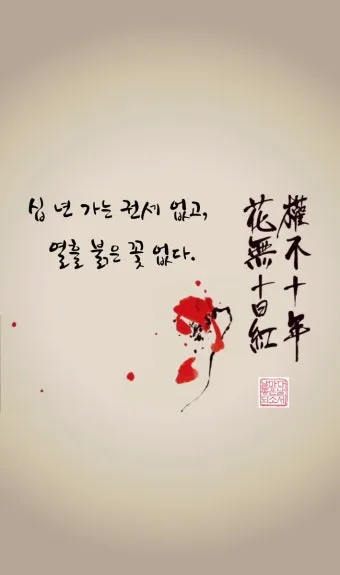 화무십일홍 뜻과 화무십일홍 권불십년 花無十日紅 자료집_11