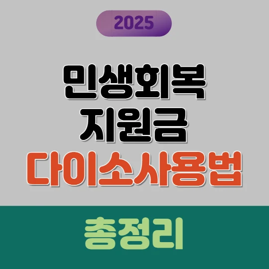 2025 민생지원금 다이소 사용처 총정리 - 직영 vs 가맹점 쉽게 구별하기