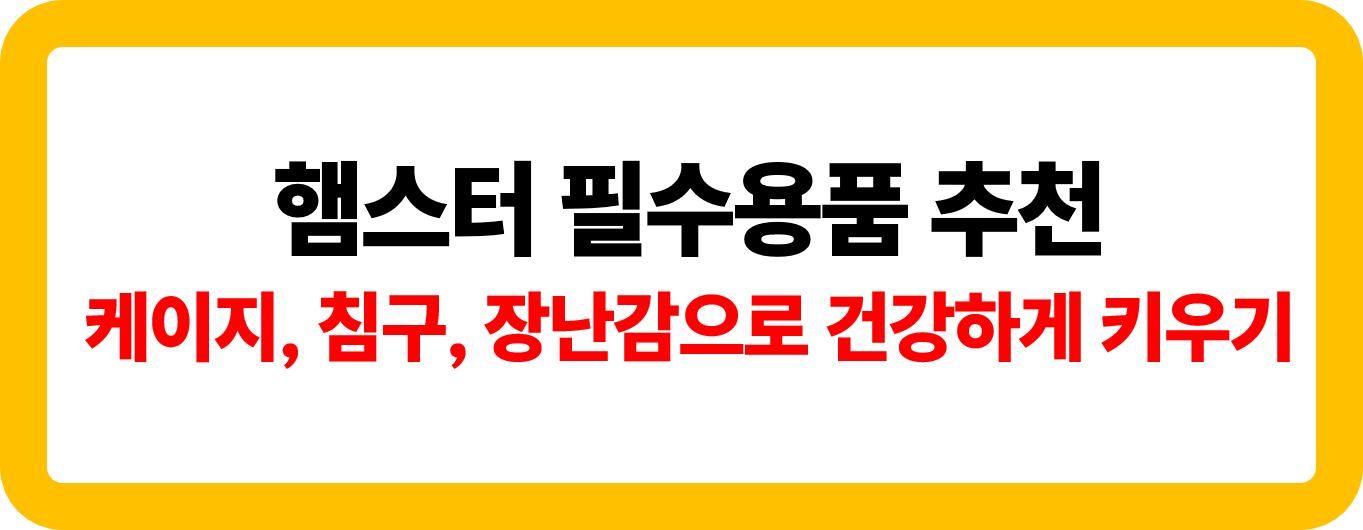 햄스터 필수용품 추천 이미지