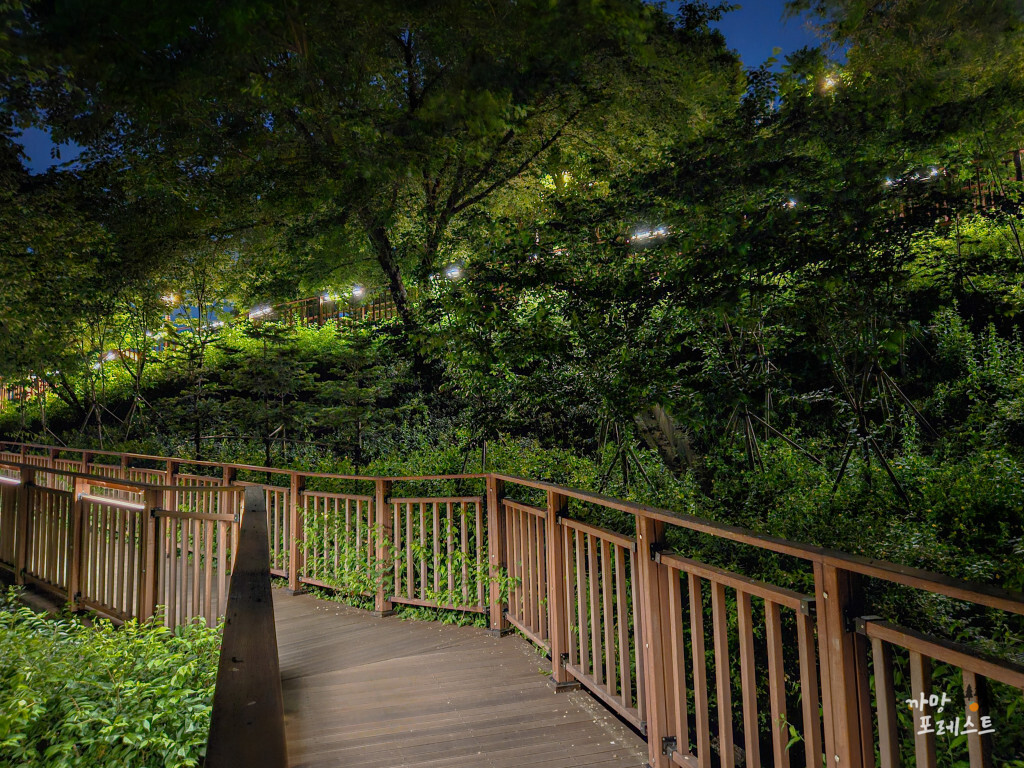 용양봉저정공원 올라가는길