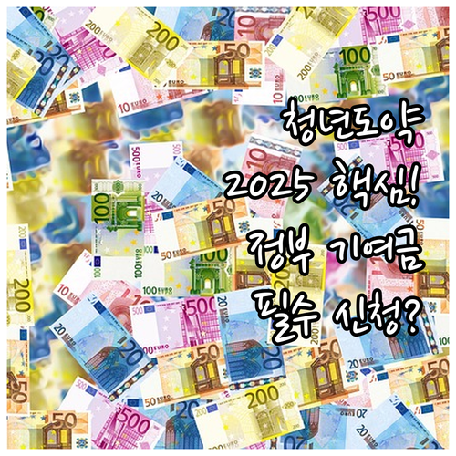 청년도약계좌 2025년 총정리 정부 ..