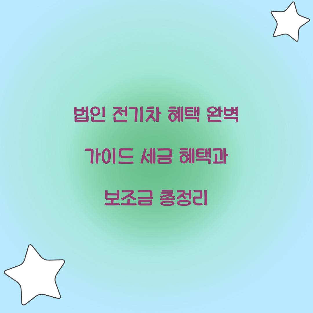 법인 전기차 혜택