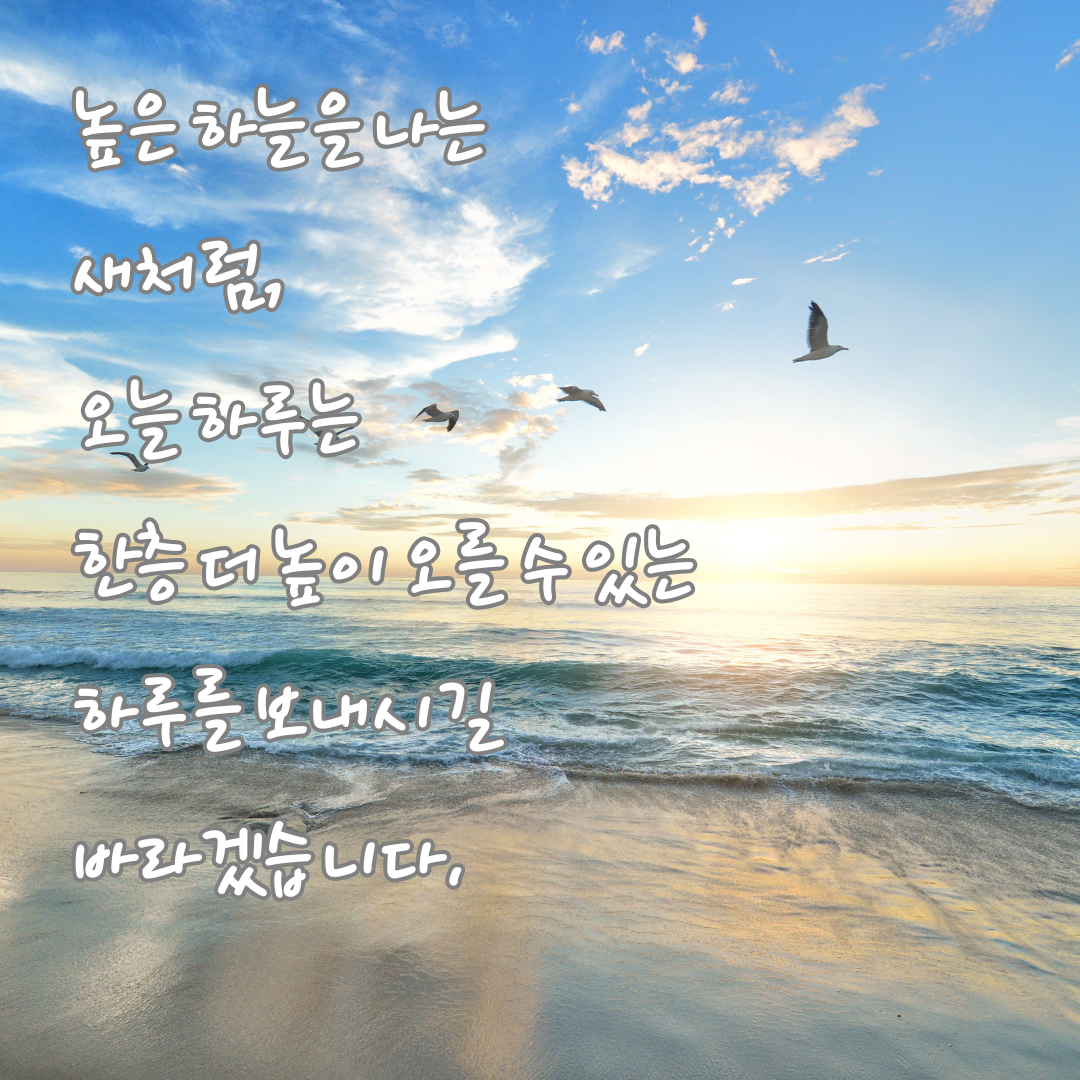 기분 좋은 아침 인사말 이미지 문구 모음집