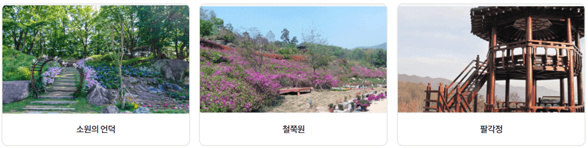 용인농촌테마파크 예약