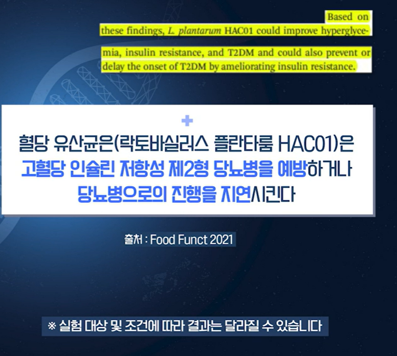 혈당 유산균