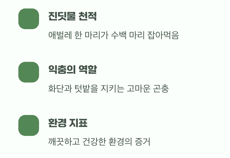 길조는 길조! 다른 의미의 행운