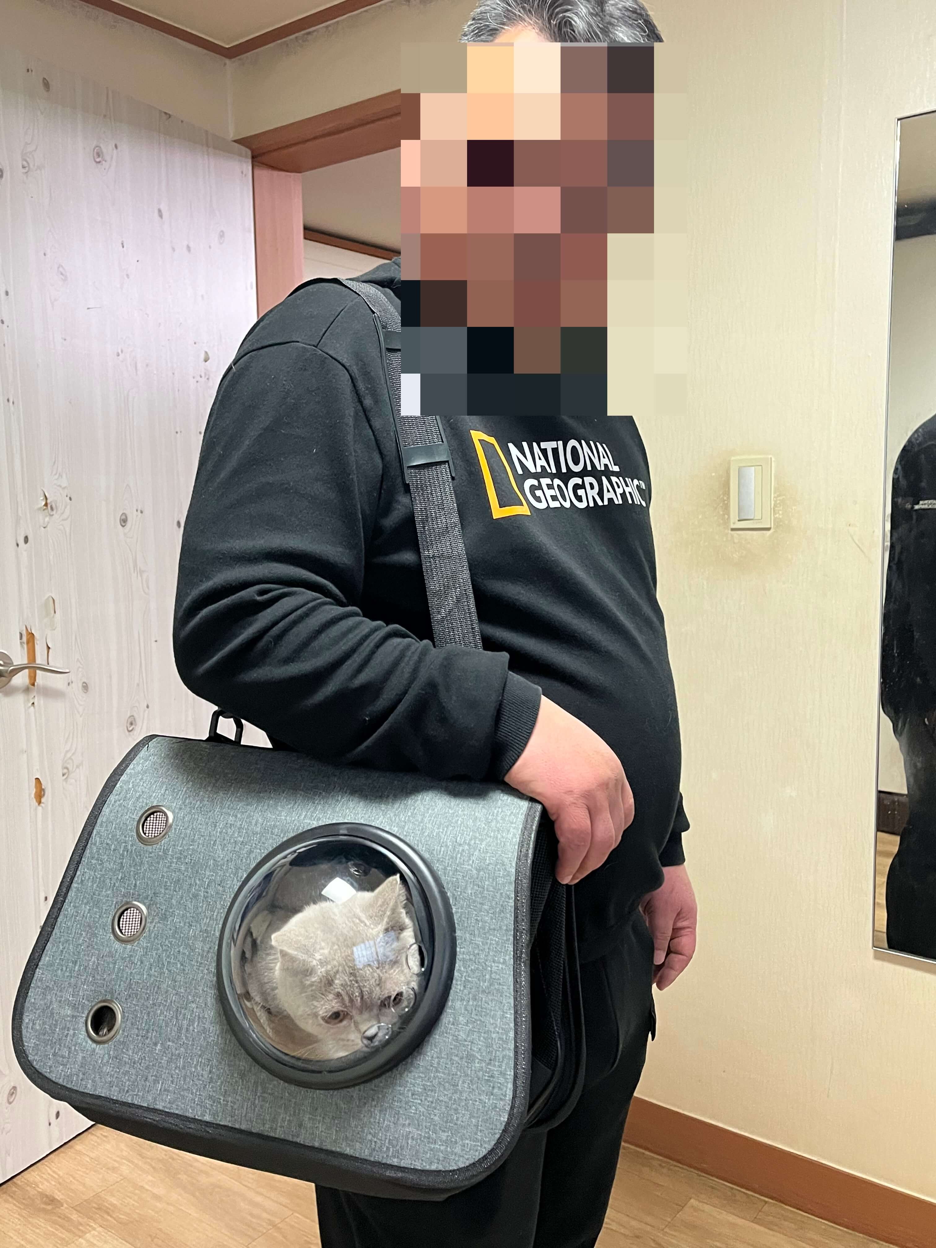 이동 가방에 넣어 남편과 함께 병원에 가요.