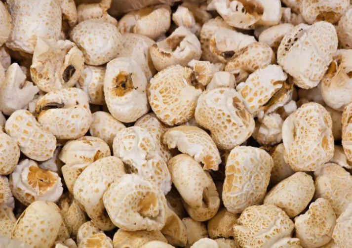 뻥튀기는 왜 부풀까? 압력과 수분의 순간 폭발 실험