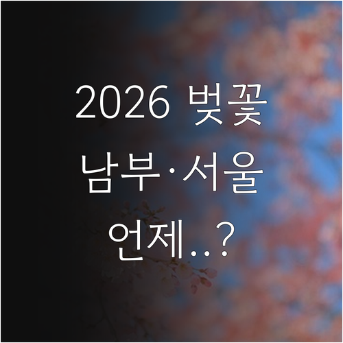 2026 벚꽃 만개 시기 예측 서울 ..