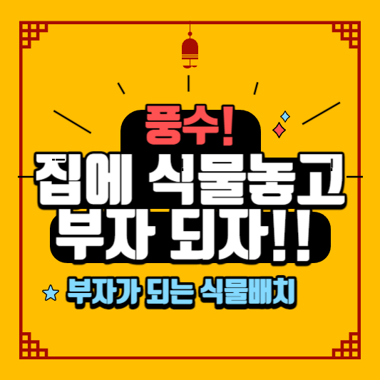 풍수 식물