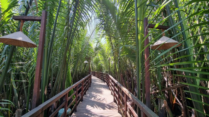 에코로지 다리 사진