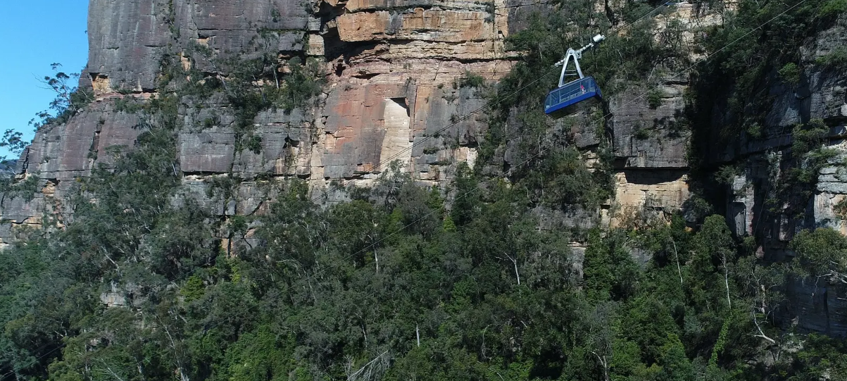 시드니 근교 블루마운틴 투어 가격 솔직 후기 + 시드니 동물원 일일투어