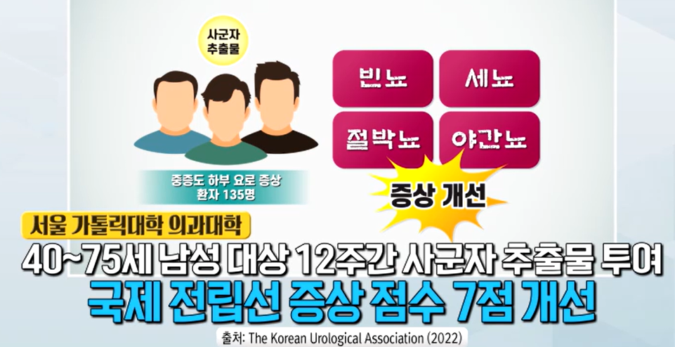전립선 비대증에 좋은 사군자