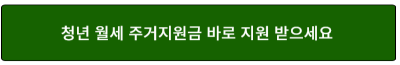 청년월세주거지원금