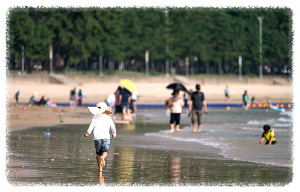 송정솔바람해수욕장