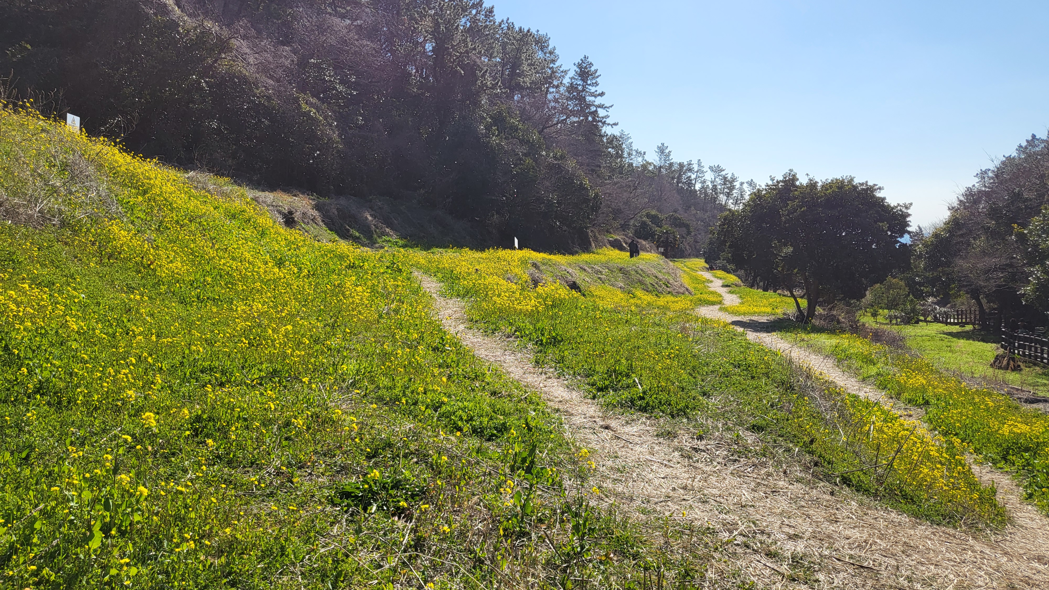 제주 가볼만한 곳 10곳