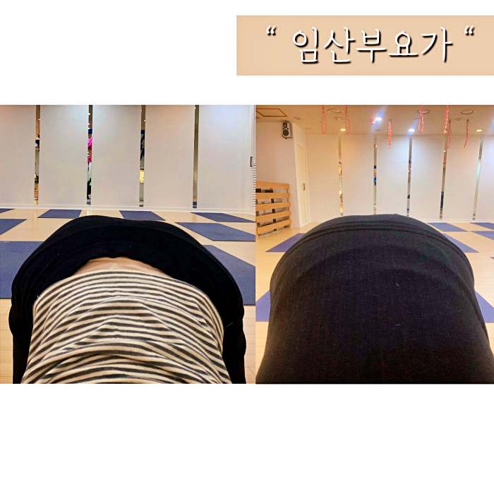 OBS 어서옵쇼 내몸의 기둥, 속근육, 코어근육 강화 소개 방송