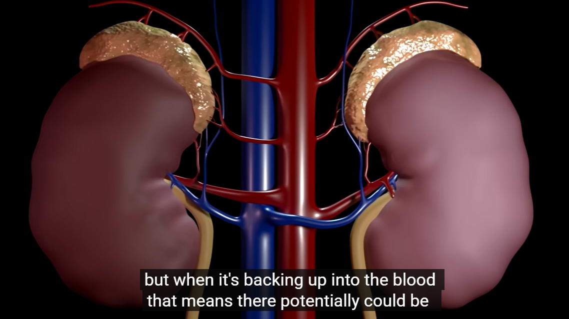 크레아티닌 정상수치