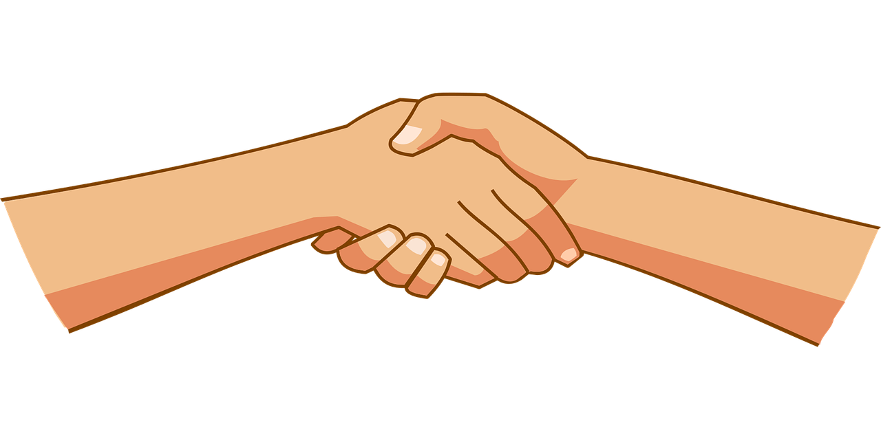 국내 도메스틱 브랜드: 인더로우(intheraw)