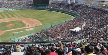 프로야구-경기장