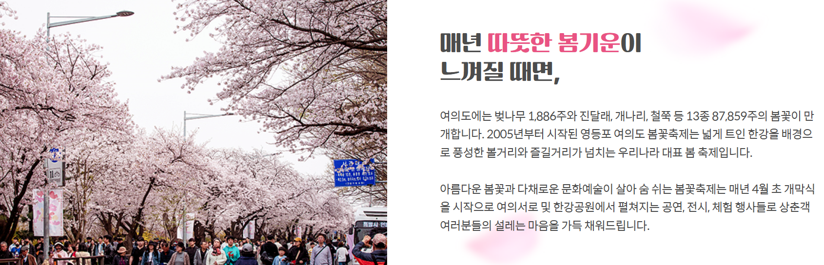 영등포 봄꽃축제 (여의도 벚꽃축제 안내)