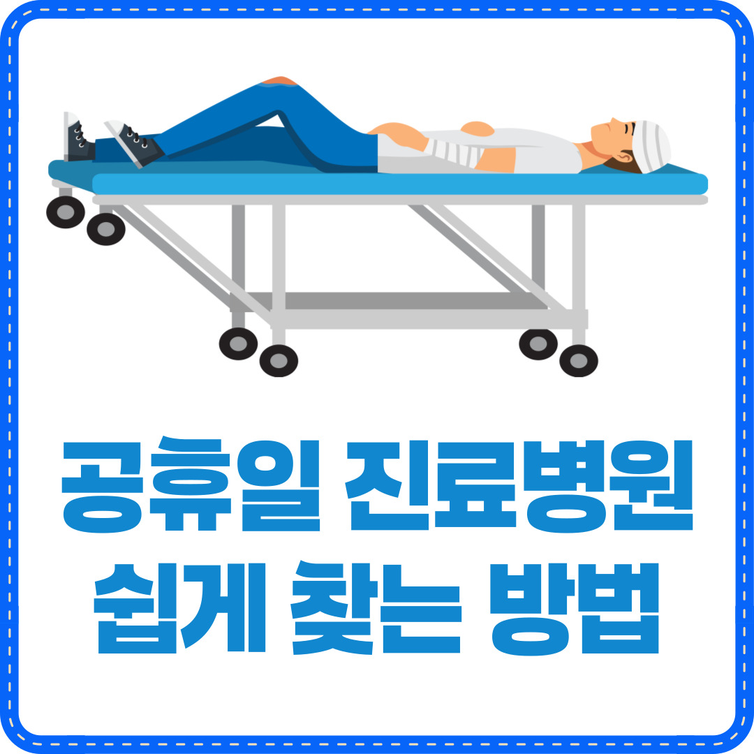 공휴일 진료병원