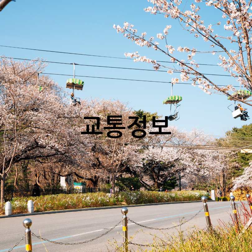 서울대공원 어린이날 무료 입장