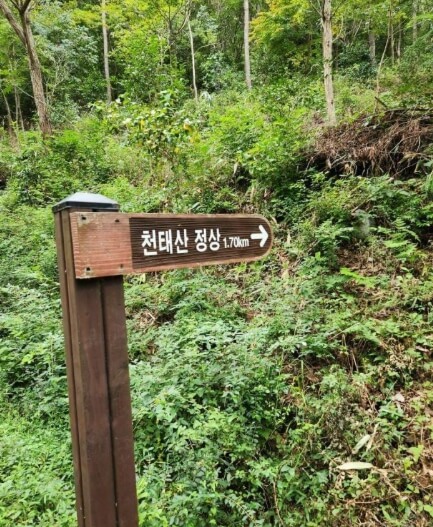 강진 가볼만한곳 베스트 10