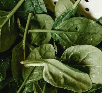 지방간에 좋은 음식 10가지