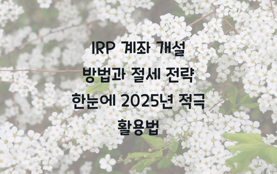 IRP 계좌 개설 방법과 절세 전략 한눈에!