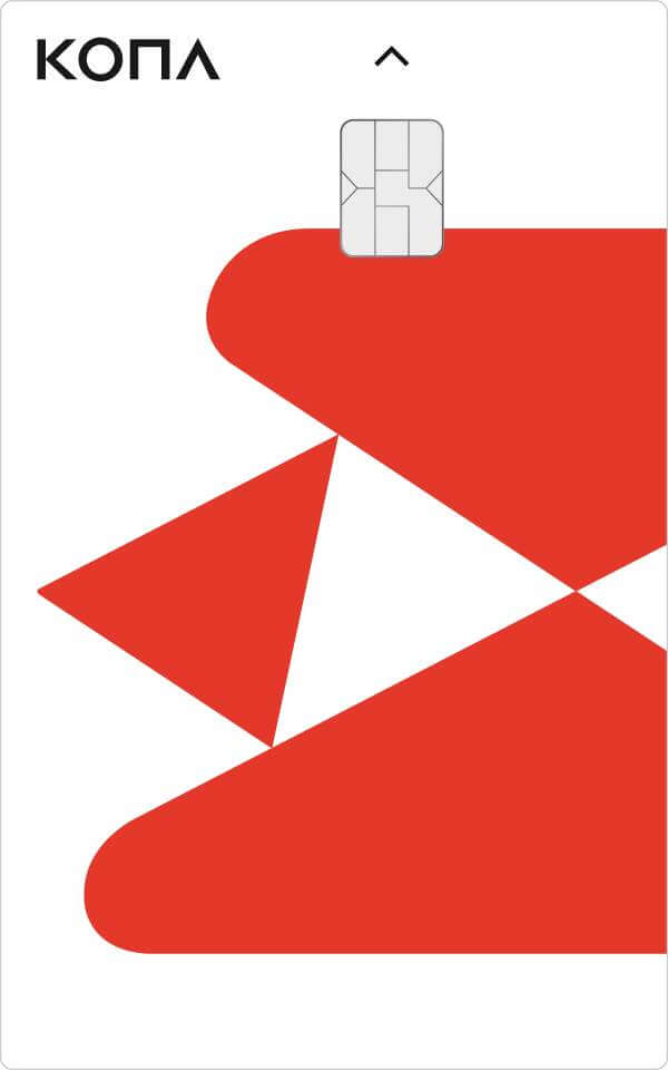 이재명 정부 수혜부 : 코나아이 주가 분석