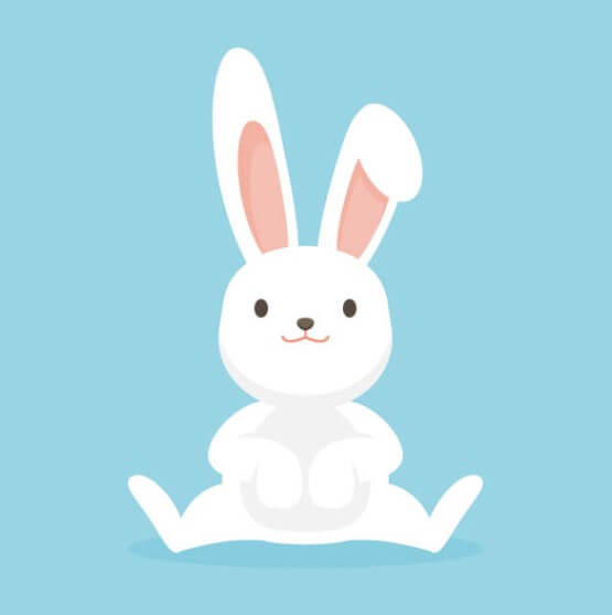 토끼띠와돼지띠궁합 