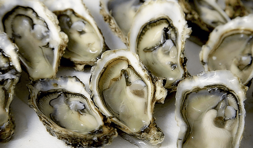 귀에 좋은 음식 생 굴