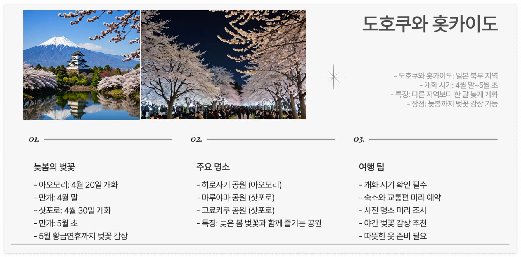 2025년-일본-벚꽃-도호쿠와-홋카이도-아오모리