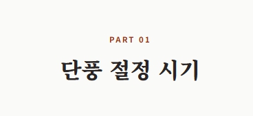 계룡산 단풍 절정시기