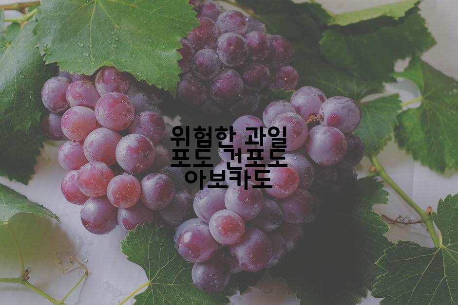 위험한 과일 포도 건포도 아보카도