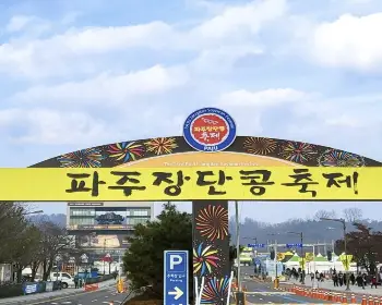 파주 장단콩축제_3