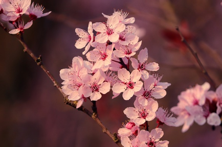 화담숲-예약-방법