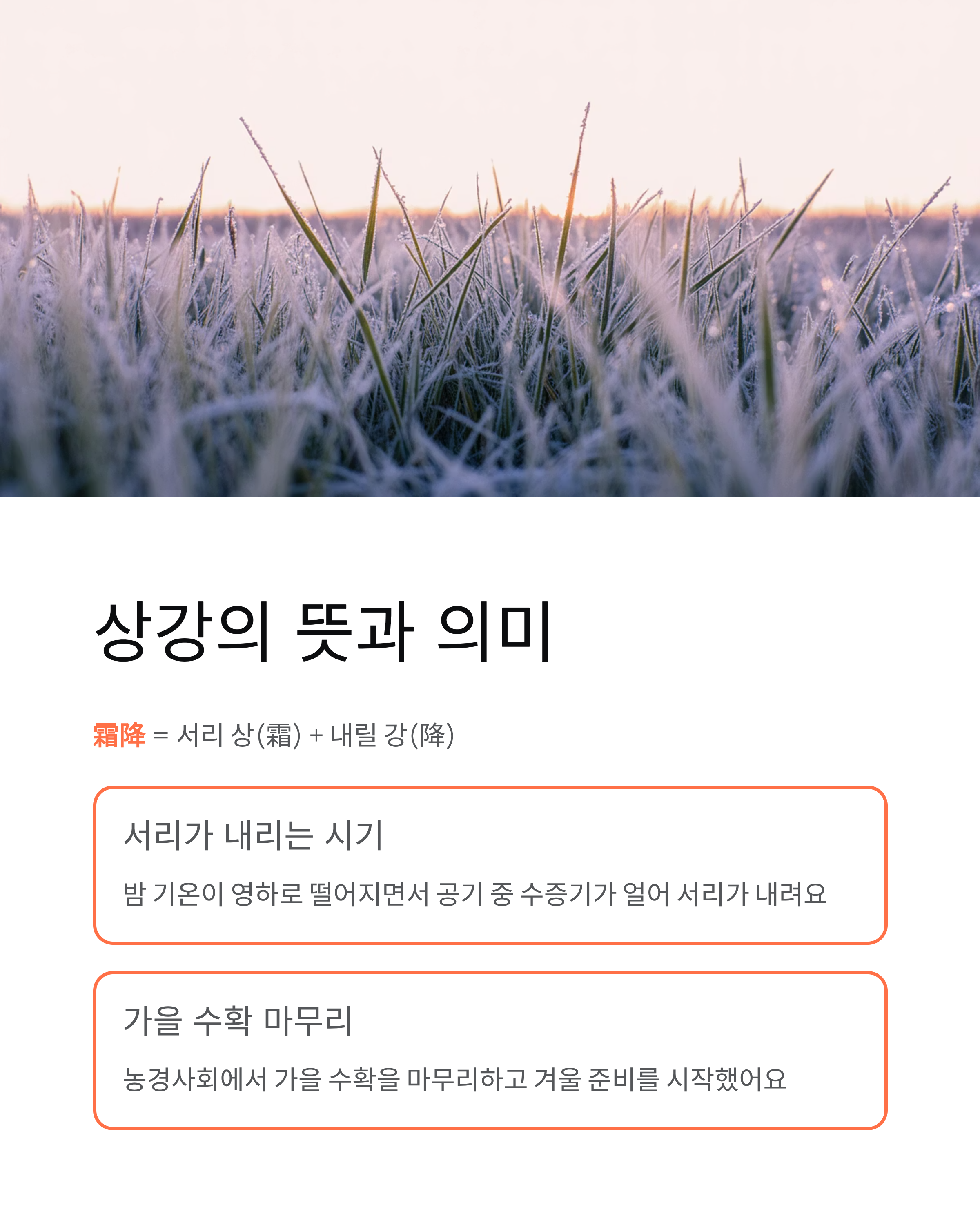 상강 뜻, 가을의 끝자락에서 겨울을 준비하는 24절기 이야기