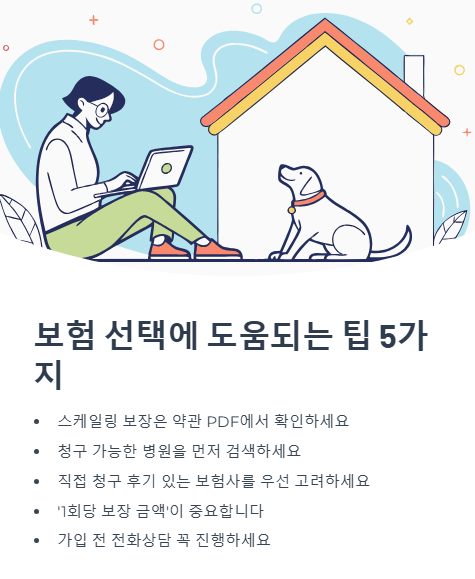보험 선택에 도움되는 팁 5가지