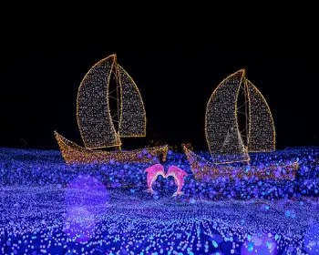 아침 고요수목원 오색별빛정원 전_2