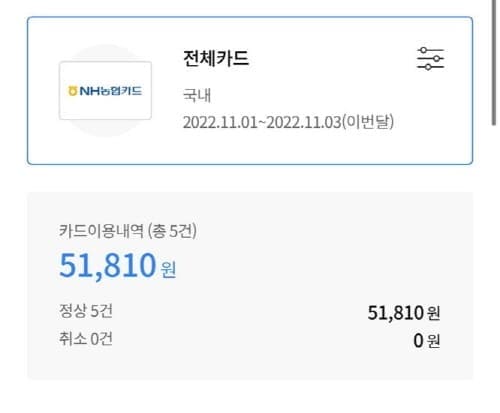 NH농협카드-11월사용금액