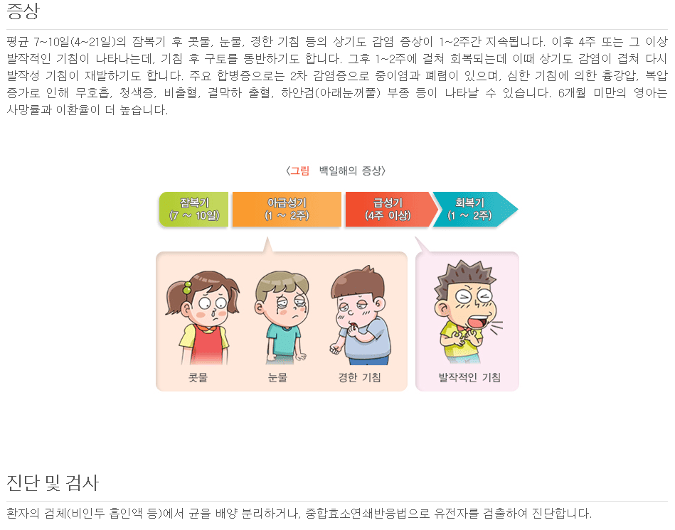 백일해 성인도 내아이도? 백일해 증상 및 자가 진단 검사 완벽 가이드